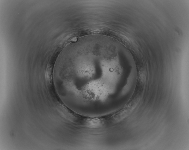 X0000113940181200909251248