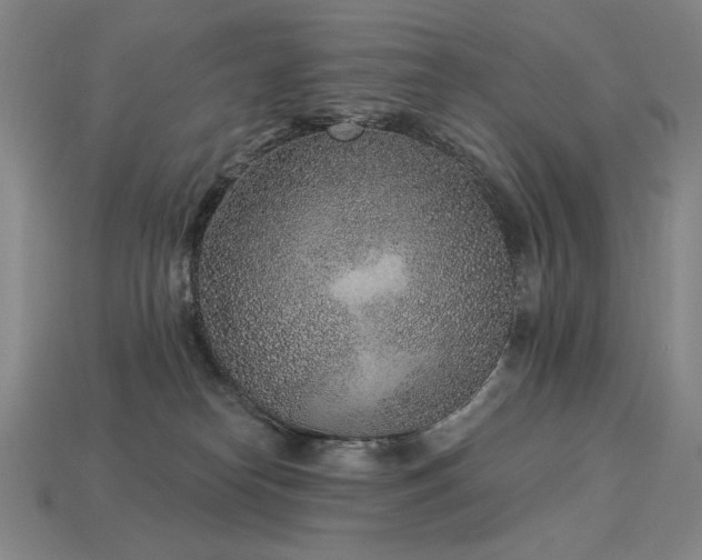 X0000113940182200909251248