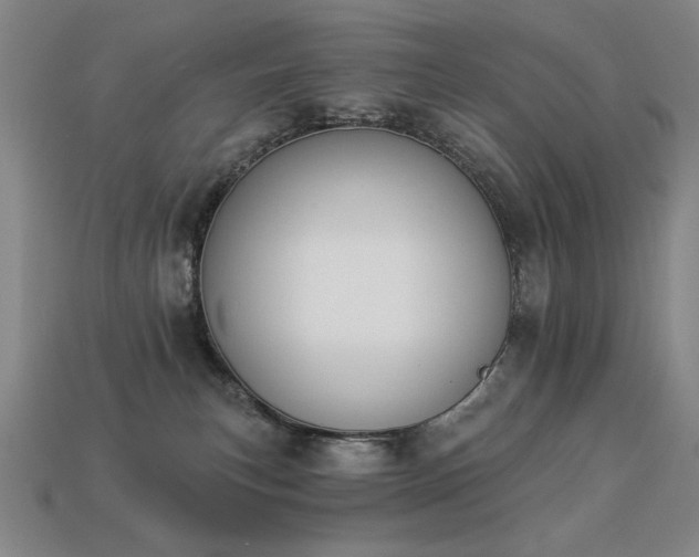 X0000113940183200909251248