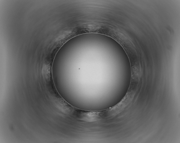 X0000113940184200909251248