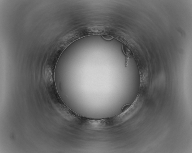 X0000113940187200909251248