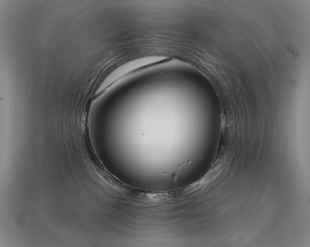 X0000113940188200909251248