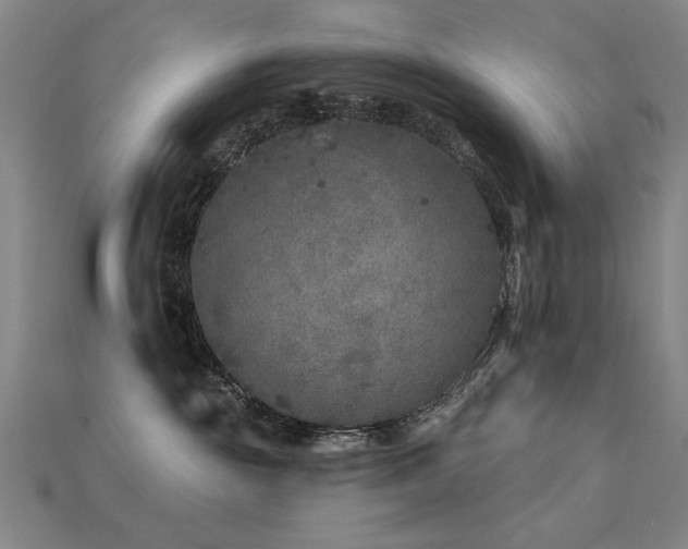 X0000113940189200909251248