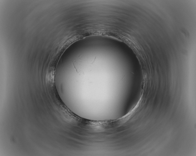 X0000113940190200909251248