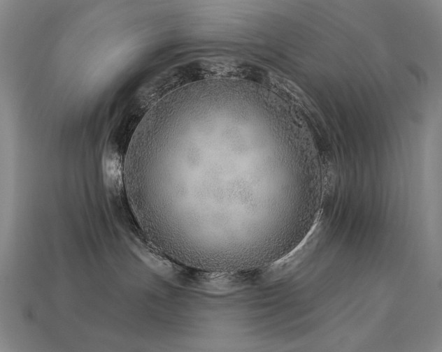 X0000113940191200909251248