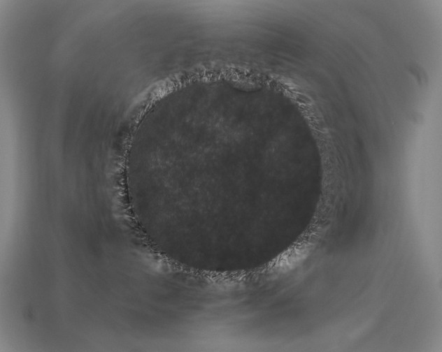 X0000113940192200909251248