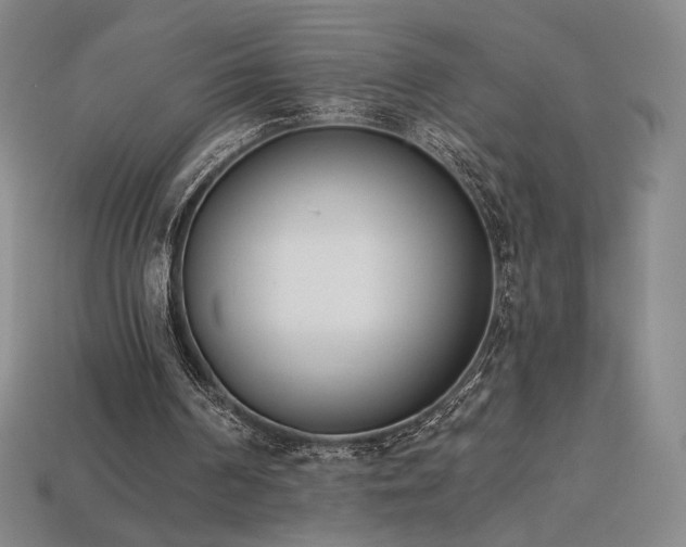 X0000113940194200909251247