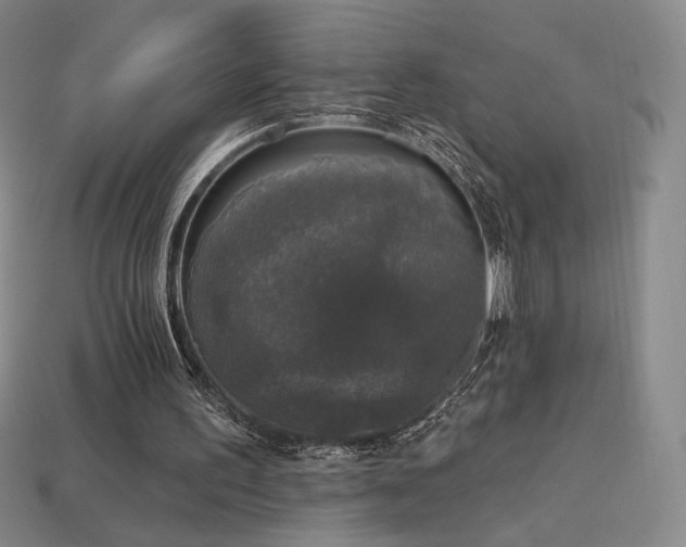 X0000113940195200909251247