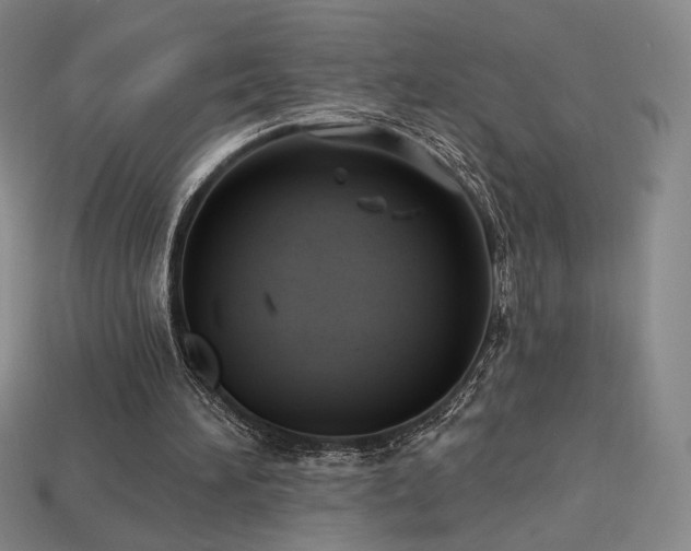 X0000113940196200909251247