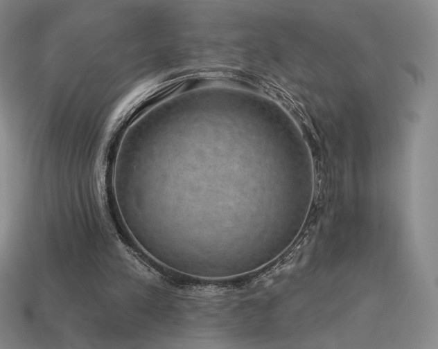 X0000113940197200909251247