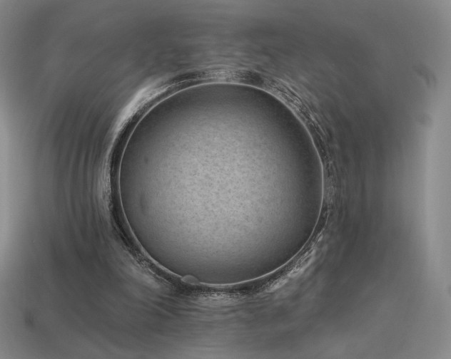 X0000113940198200909251247