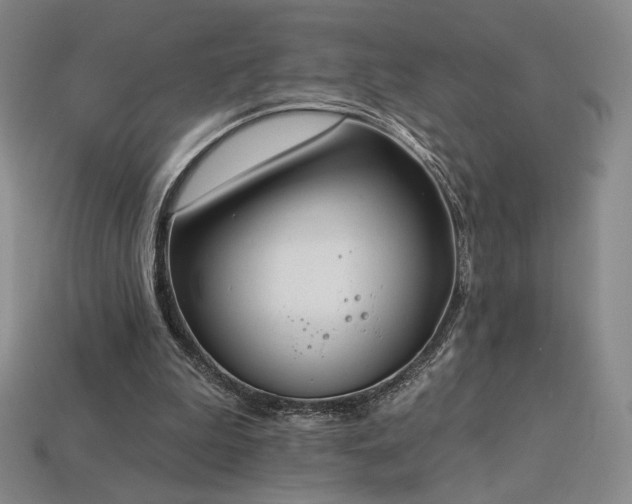 X0000113940199200909251247