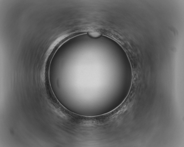 X0000113940200200909251247