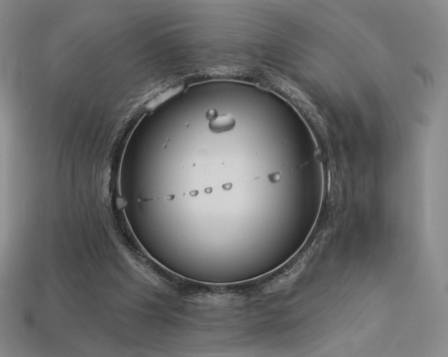 X0000113940201200909251247