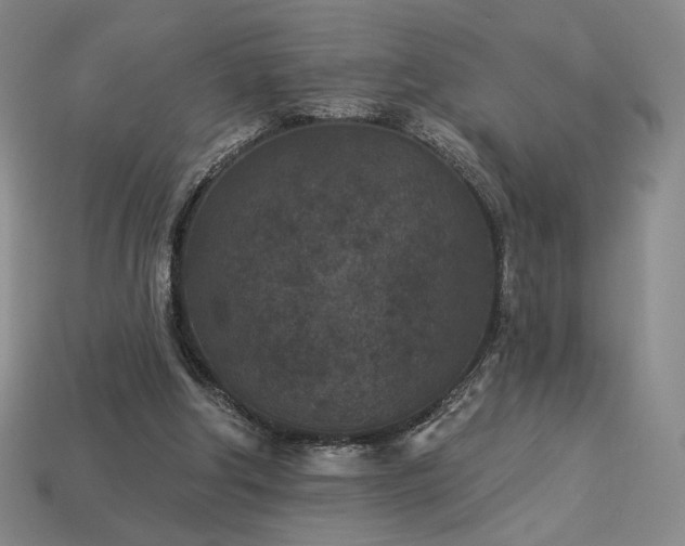 X0000113940202200909251247