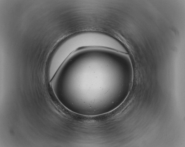 X0000113940203200909251247