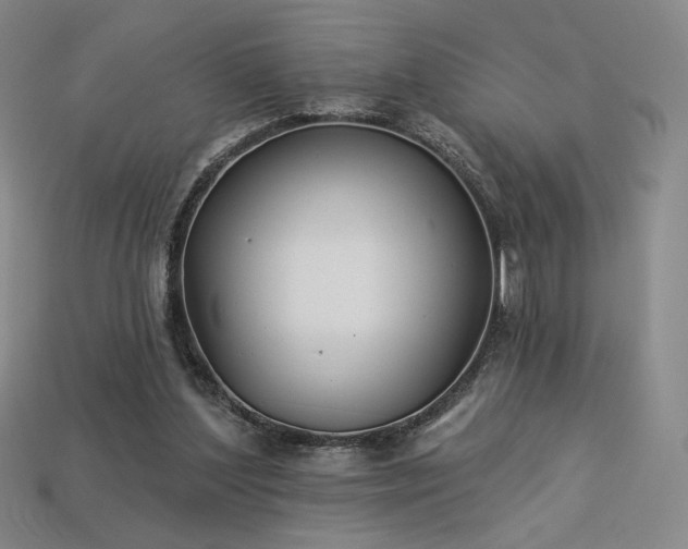 X0000113940204200909251247