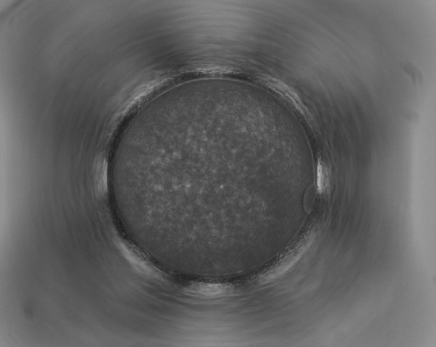 X0000113940205200909251247