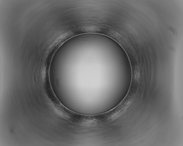 X0000113940206200909251247