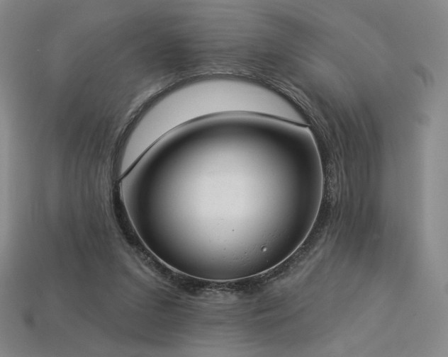 X0000113940207200909251247