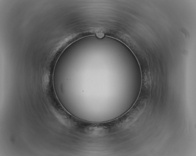 X0000113940208200909251247