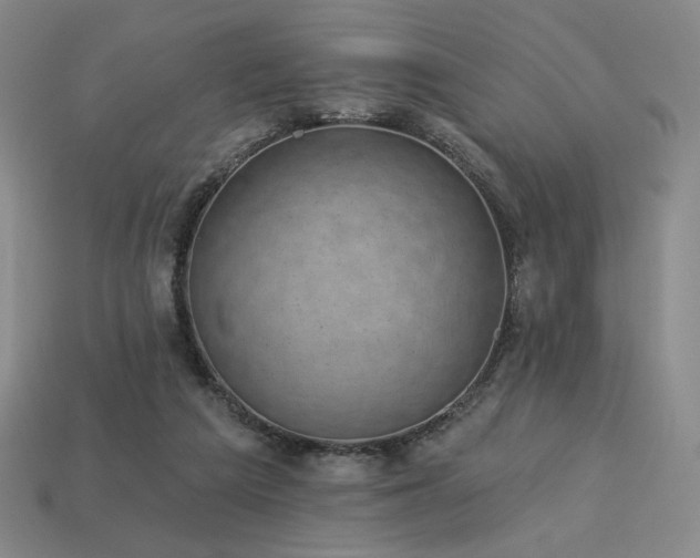 X0000113940209200909251247