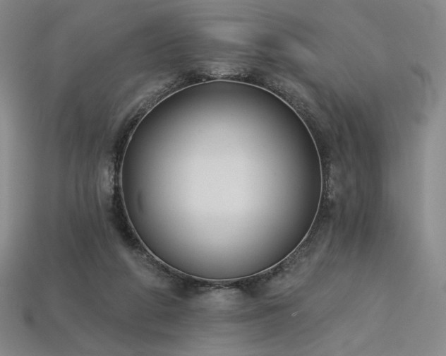 X0000113940210200909251247