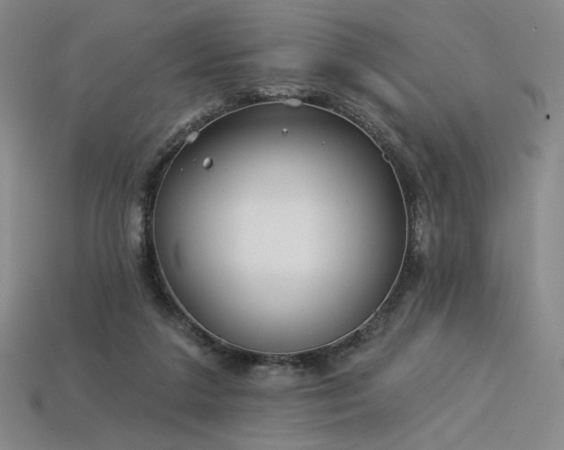 X0000113940211200909251247