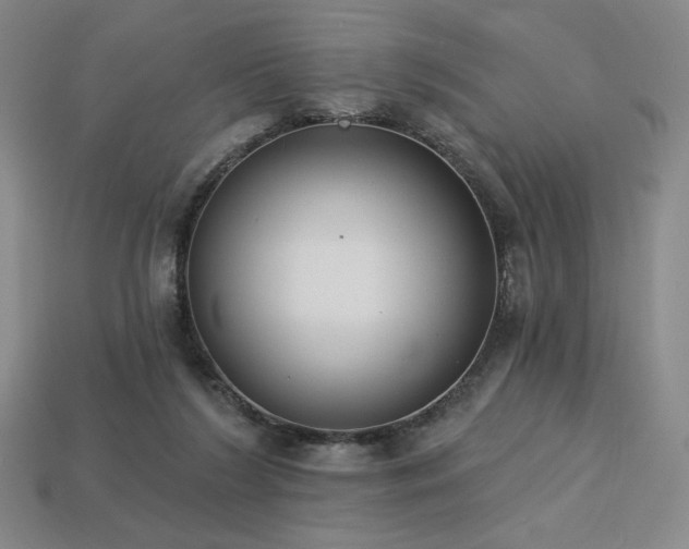 X0000113940212200909251247