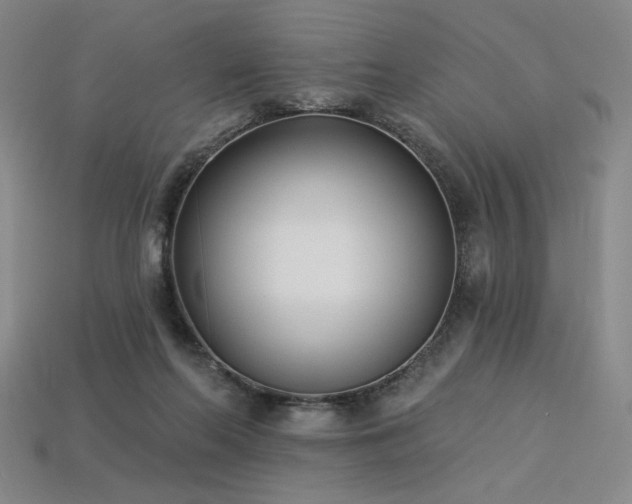 X0000113940214200909251247