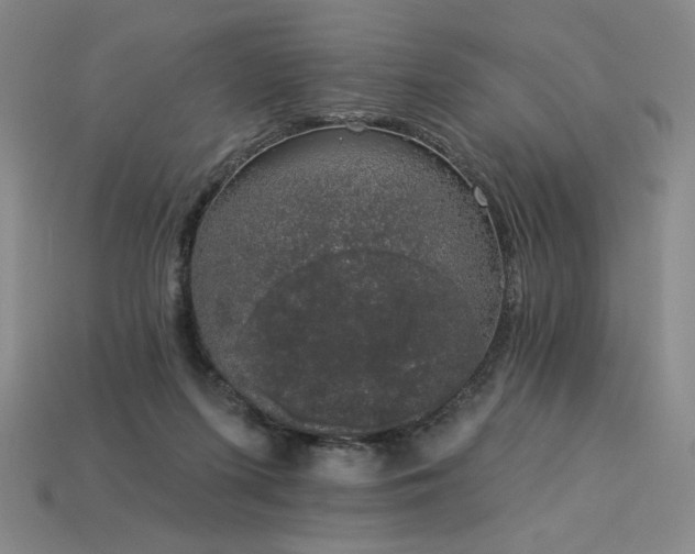 X0000113940215200909251247