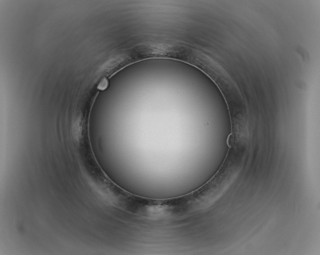 X0000113940216200909251247