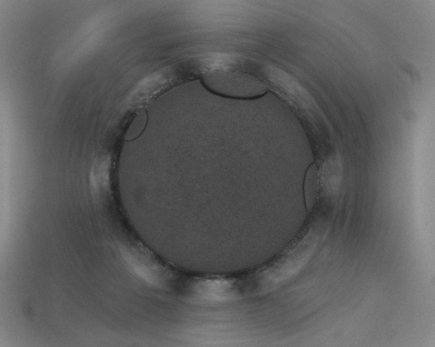 X0000113940217200909251247