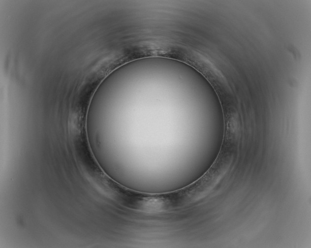 X0000113940218200909251247