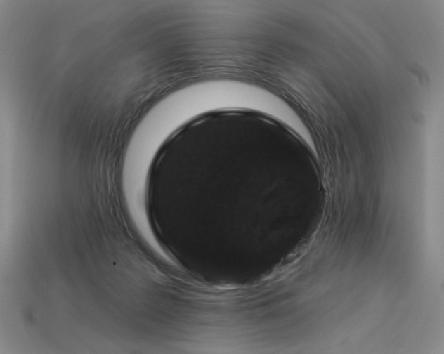 X0000113940219200909251247