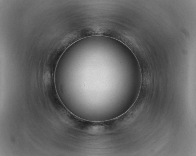 X0000113940220200909251247