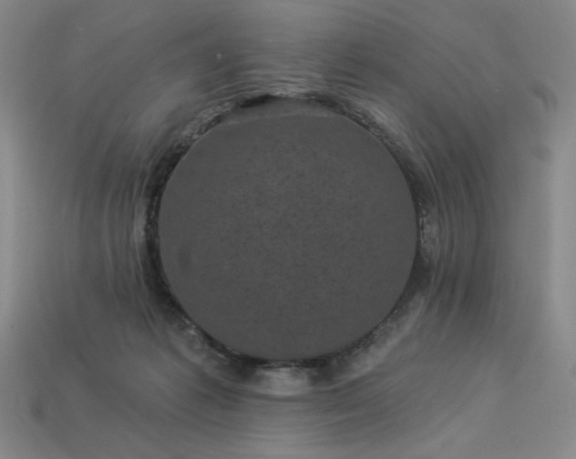 X0000113940221200909251247