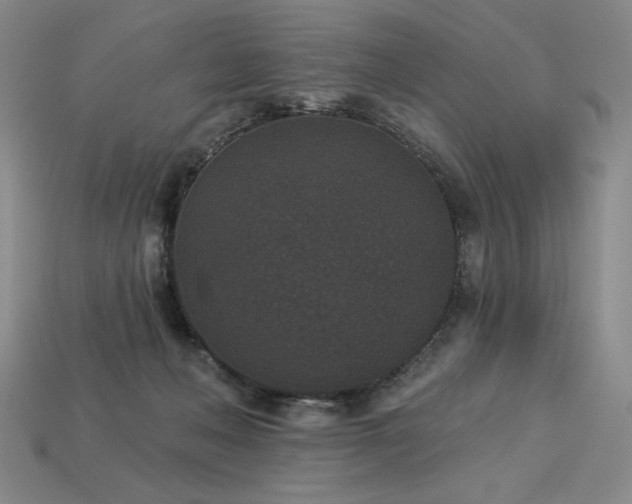 X0000113940222200909251247