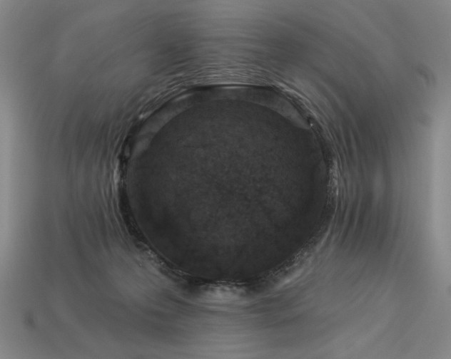 X0000113940223200909251247