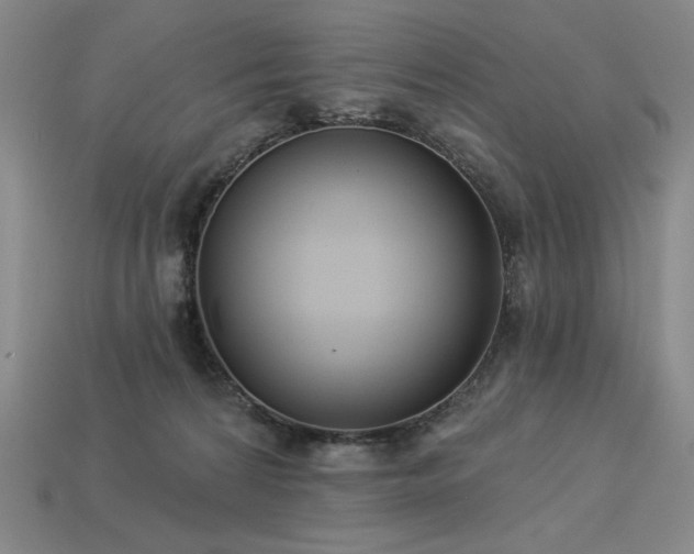 X0000113940224200909251247