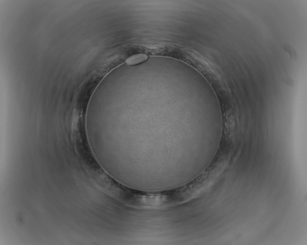 X0000113940225200909251247