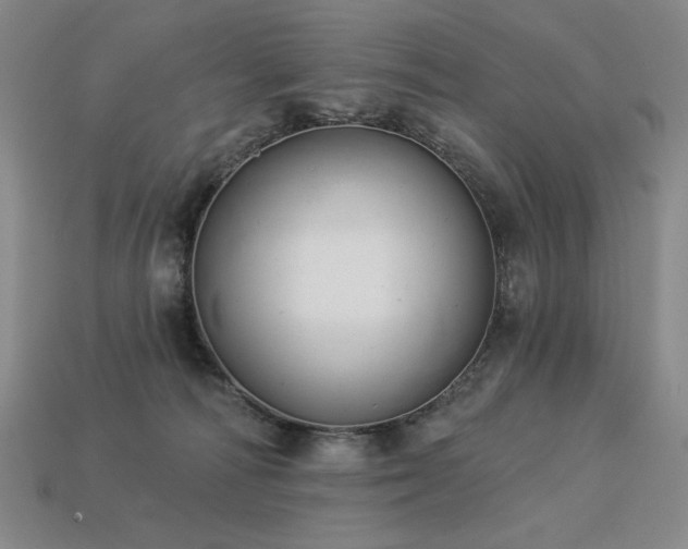 X0000113940226200909251247