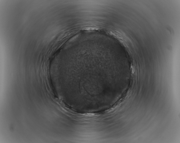 X0000113940227200909251247