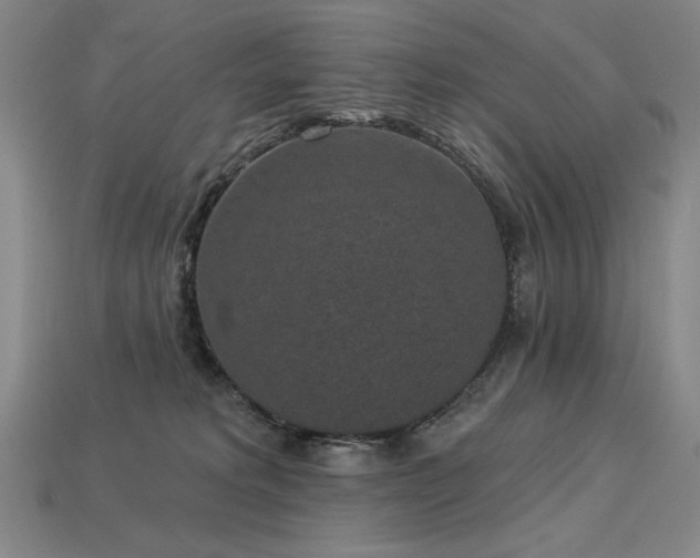 X0000113940229200909251247