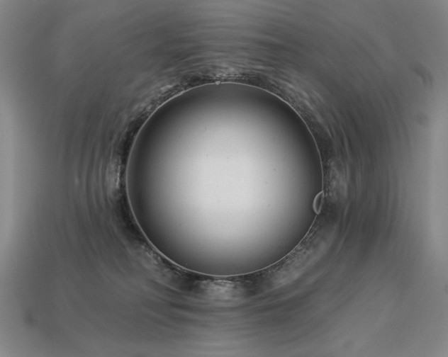 X0000113940230200909251247