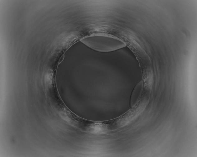 X0000113940231200909251247