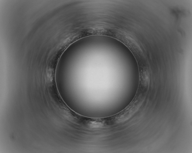 X0000113940232200909251247