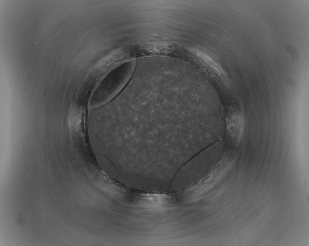 X0000113940233200909251247