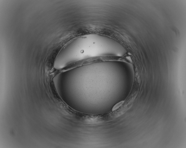 X0000113940235200909251247