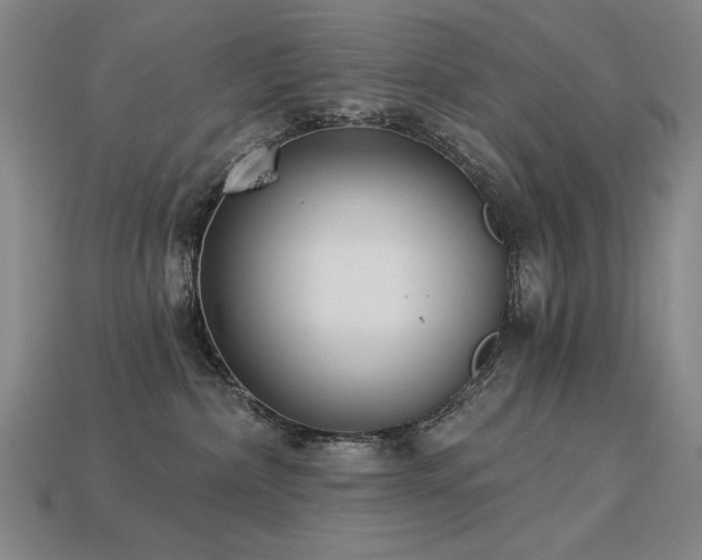 X0000113940236200909251247